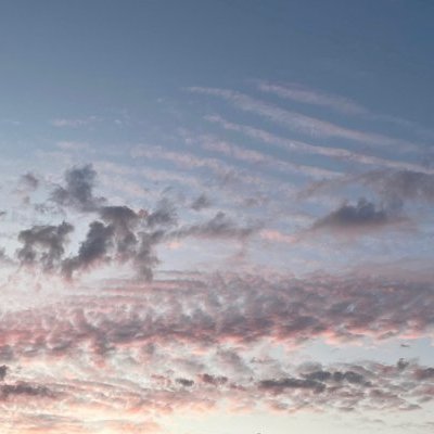 残暑がまだまだ続くとか・・・