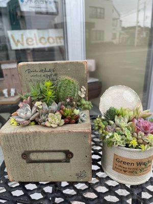 水廻り点検！！大掃除！！冬の晴れ間は忙しい！！