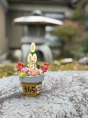 あけましておめでとうございます(*´▽｀*)