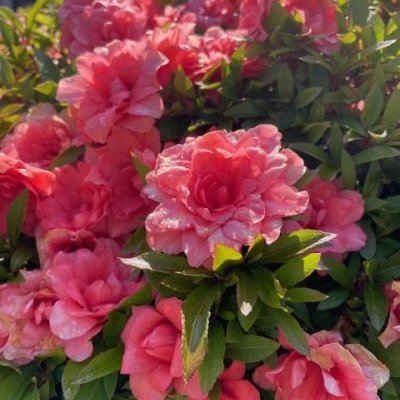 快晴！！！！！