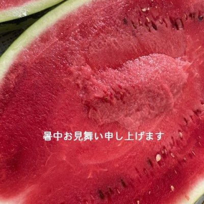 夏季休暇のお知らせ
