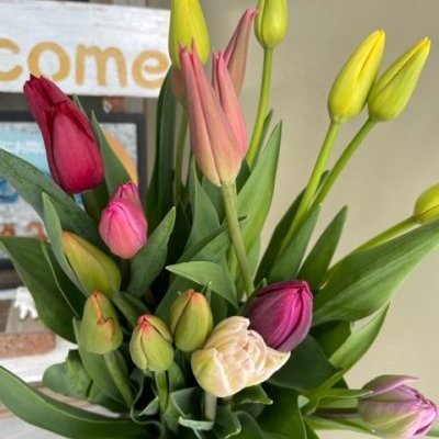 氷点下の朝に春がきたヽ(^o^)丿