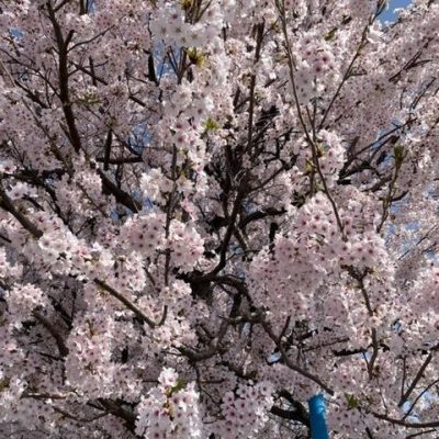 キレイです！！