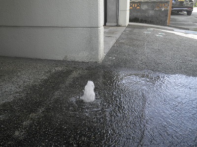 ずっと使用していなかった消雪設備