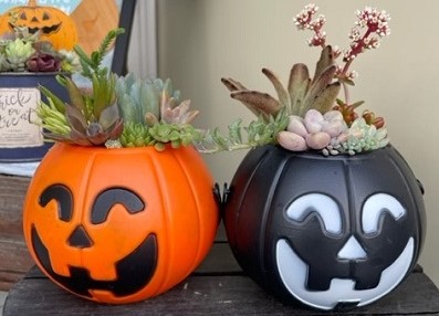 水廻り点検日和