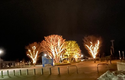 水の小径わくわくイルミネーション2022