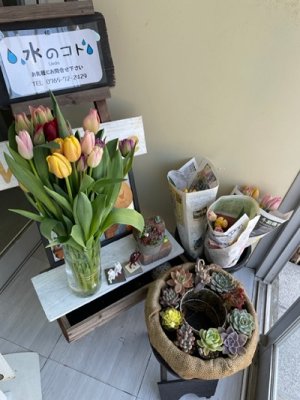 花屋さん？？いえいえ配管屋ですヽ(^。^)ノ