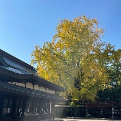 今日の天気予報は・・・・